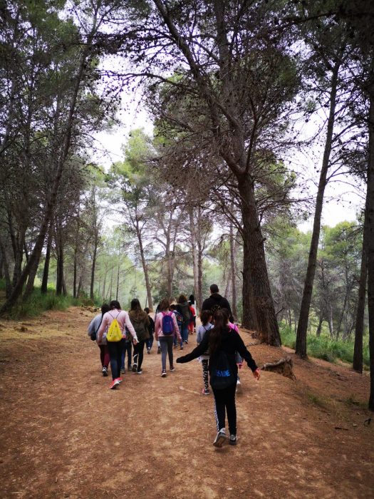 SIS Castelldefels